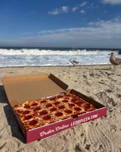a pepperoni pizza from Ledo Pizza on the beach with the sand and ocean and seagulls in background